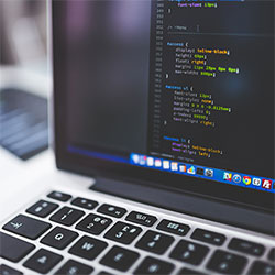 美丽的小水蜜桃7，美丽的小水蜜桃英文怎么写