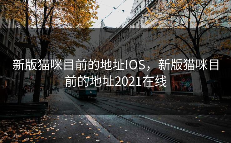 新版猫咪目前的地址IOS，新版猫咪目前的地址2021在线