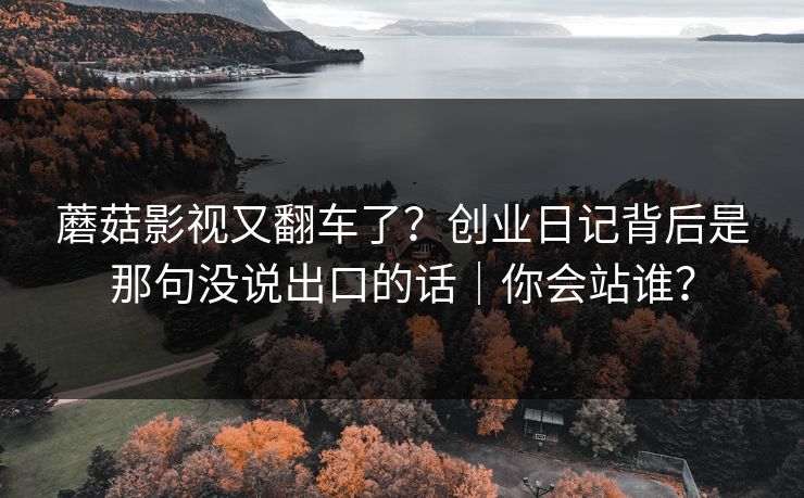 蘑菇影视又翻车了?创业日记背后是那句没说出口的话|你会站谁?