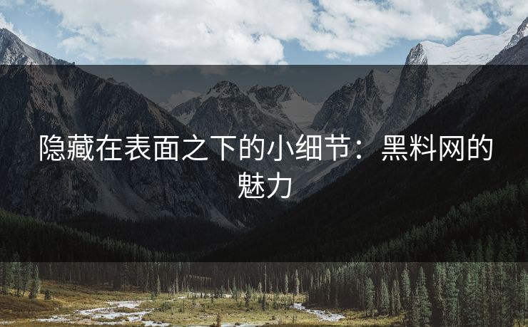 隐藏在表面之下的小细节:黑料网的魅力